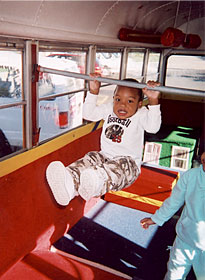 JungleBus Chin-Ups
